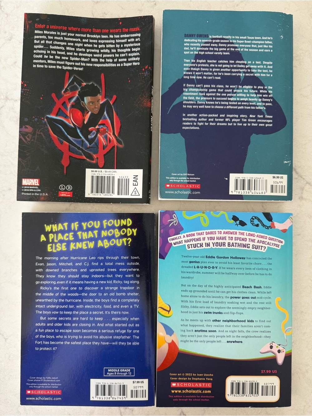 Chapter Book Lot - Picture 2 of 2